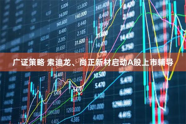 广证策略 索迪龙、尚正新材启动A股上市辅导