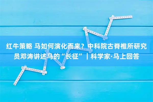红牛策略 马如何演化而来？中科院古脊椎所研究员邓涛讲述马的“长征”｜科学家·马上回答